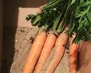Sådan opbevares gulerødder hjemme, så det ikke forkæler i lang tid: 4 måder 458_7