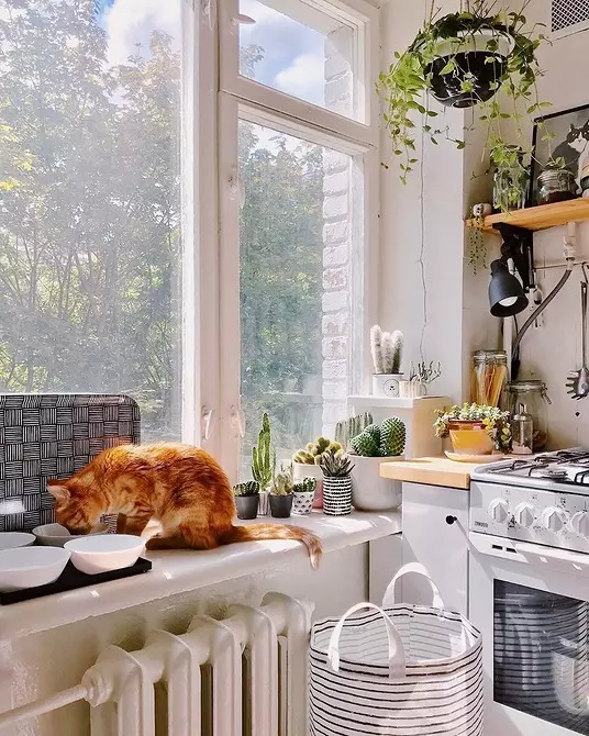 Dekor i bukur dritare në kuzhinë: Merrni parasysh llojin e lakut dhe stilit të brendshëm 4732_79