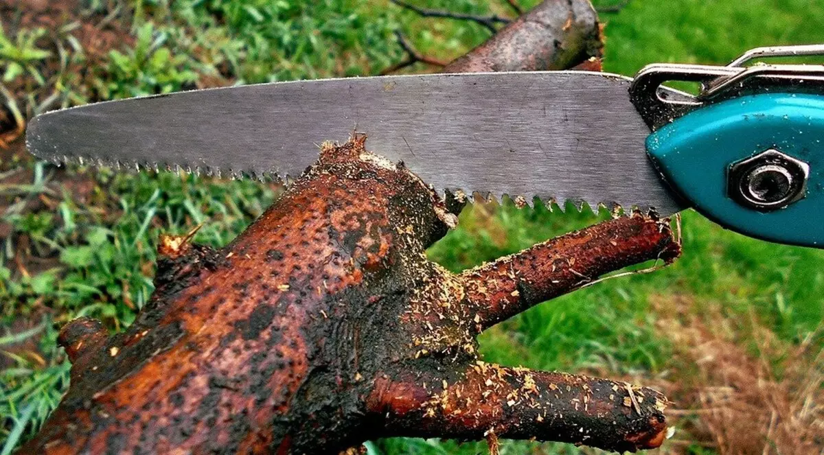 We choose which tree knife is better: criteria and rating 4762_5