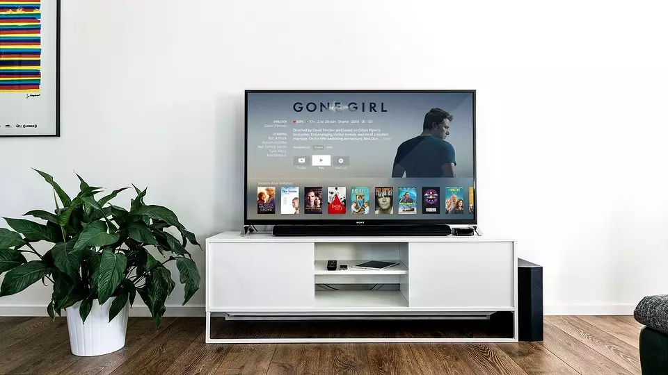 Cum de a alege un televizor de acasă bun: Ghid complet privind caracteristicile moderne 4900_9