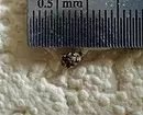4 Métodos comprobados que axudarán a desfacerse dos leceres de escaravello no apartamento 4942_4