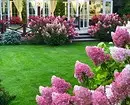 8 Blooming dekorativ Sträich déi gëeegent fir Kultivatioun zu Siberia 5027_16