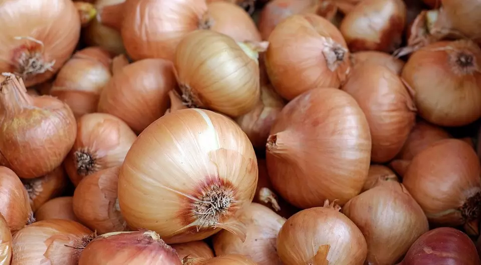 Where to store onions so that it remains fresh: 10 right ways for the apartment 503_5