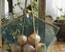 Where to store onions so that it remains fresh: 10 right ways for the apartment 503_54