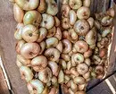 Where to store onions so that it remains fresh: 10 right ways for the apartment 503_68