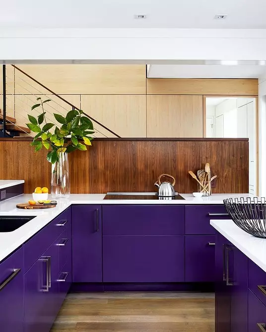Бид Lilac-т гал тогооны өрөөнд татдаг: 4 зөвлөл, алдартай алдаа 5045_121