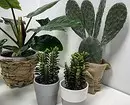 7 dicas importantes para cuidar de plantas internas no inverno 5177_18