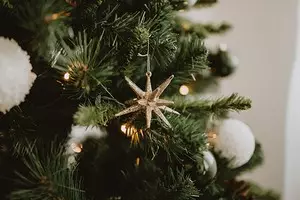 Apa yang harus dilakukan dengan pohon Natal setelah liburan: 4 ide praktis 5189_1