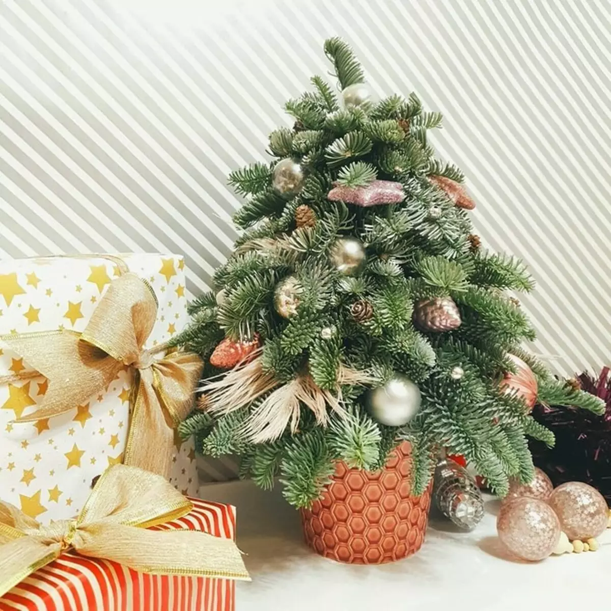 Apa yang harus dilakukan dengan pohon Natal setelah liburan: 4 ide praktis 5189_17