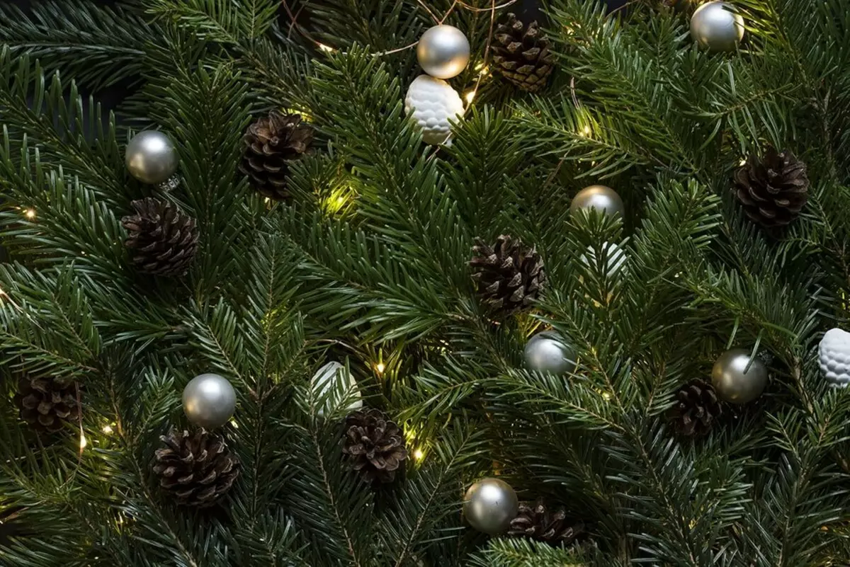 Lifehak: how to keep the New Year tree fresh for a long time 5263_5