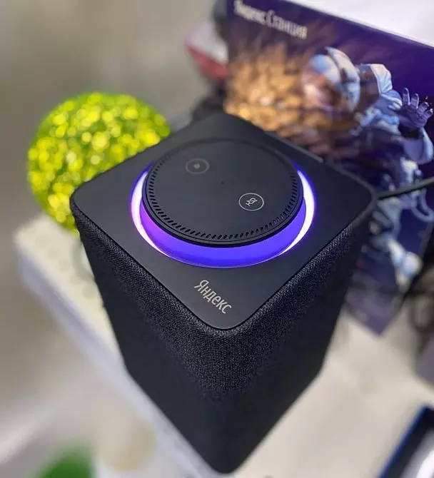 Voice Assistant pro domov: pro a proti technickému nákupu 535_14