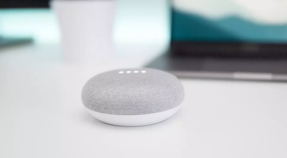 Voice Assistant pro domov: pro a proti technickému nákupu