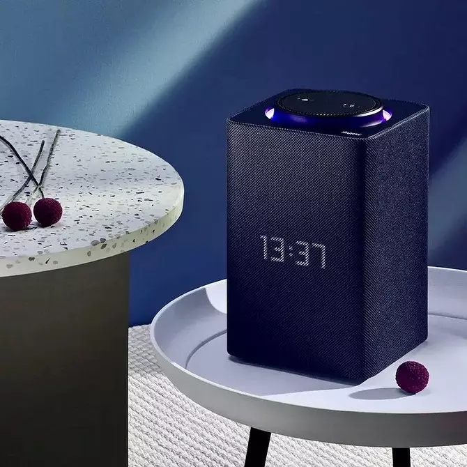 Voice Assistant pro domov: pro a proti technickému nákupu 535_25