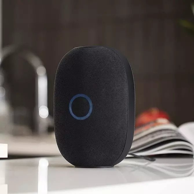 Voice Assistant voor huis: voor en tegen technische aankoop 535_28