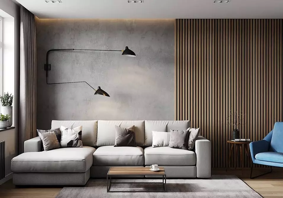 5 Principios principais do deseño Zapat-Living Room área de 30 metros cadrados. M. 5414_105