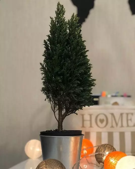 5 impianti con cui è possibile decorare la casa per il nuovo anno (tranne per l'albero di Natale) 5423_11