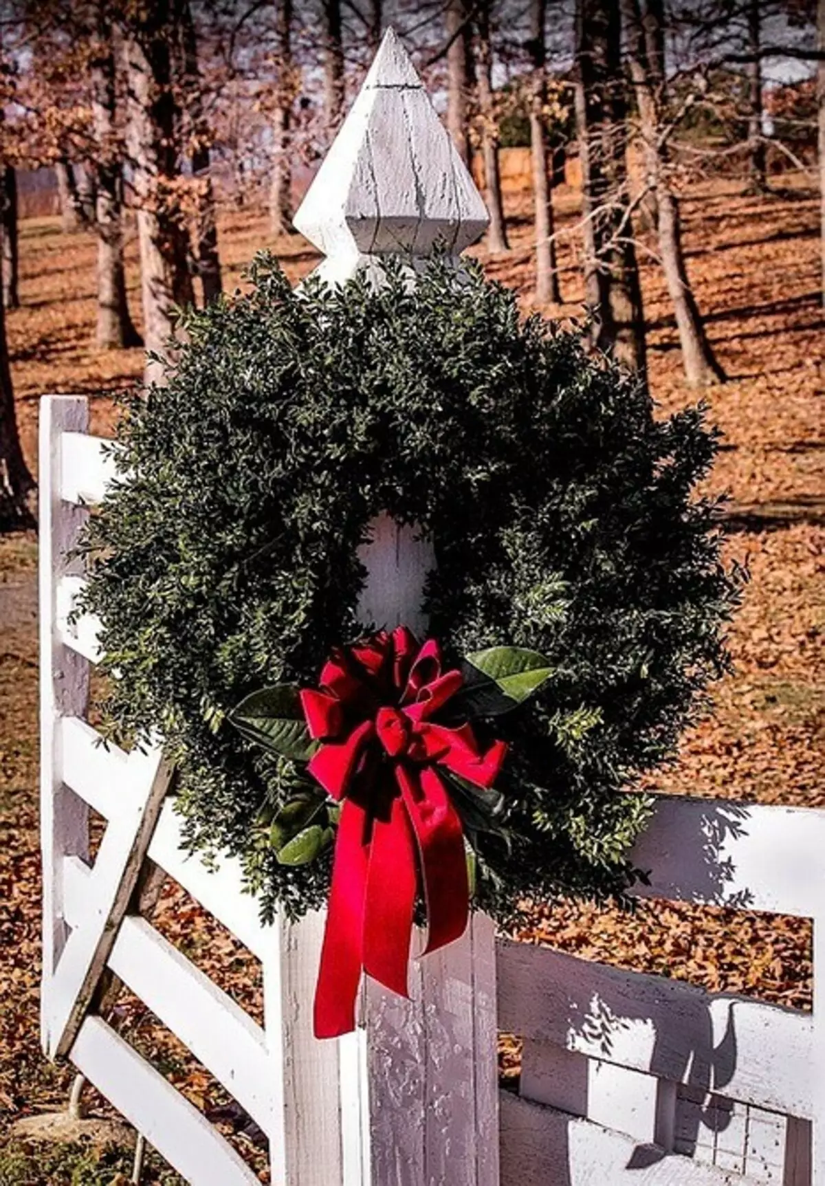 5 impianti con cui è possibile decorare la casa per il nuovo anno (tranne per l'albero di Natale) 5423_20