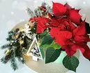 5 bimë me të cilat mund të dekoroni shtëpinë për vitin e ri (me përjashtim të pemës së Krishtlindjes) 5423_23