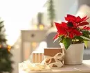 5 bimë me të cilat mund të dekoroni shtëpinë për vitin e ri (me përjashtim të pemës së Krishtlindjes) 5423_25