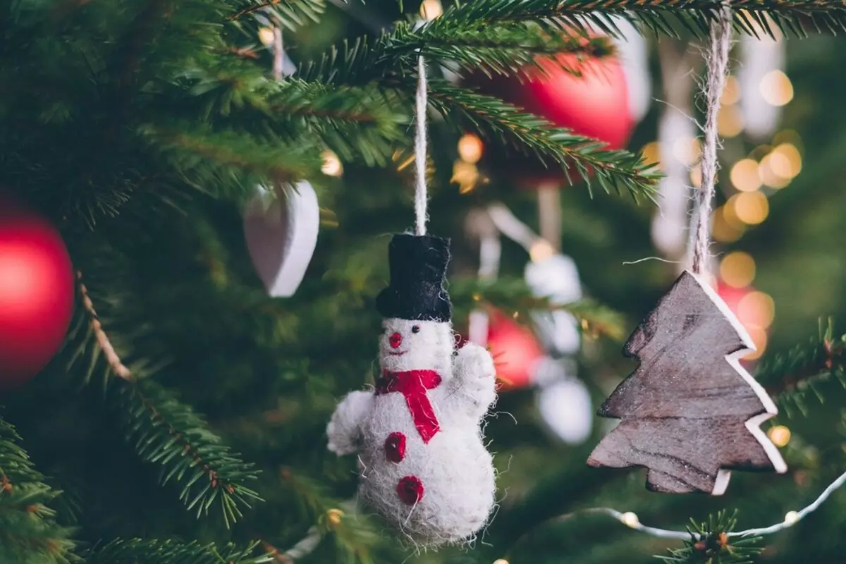 5 Gagasan kanggo Wit Natal dekorasi ing gaya interior sing populer 5483_20