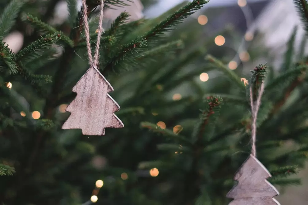 5 idei pentru decorarea copacului de Crăciun în stilurile interioare populare 5483_38