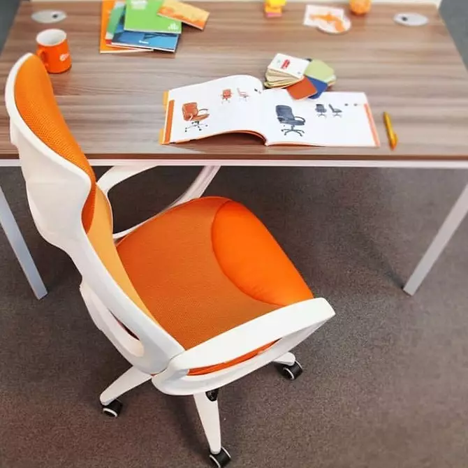 Која је столица за школарце боља: Изаберите прави и сигурни намештај 5506_29