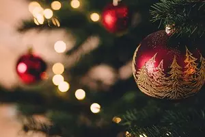 Como escolher a árvore de Natal direita: instrução em 3 etapas 5525_1