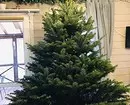 Cara Memilih Pohon Natal yang Tepat: Instruksi dalam 3 Langkah 5525_12
