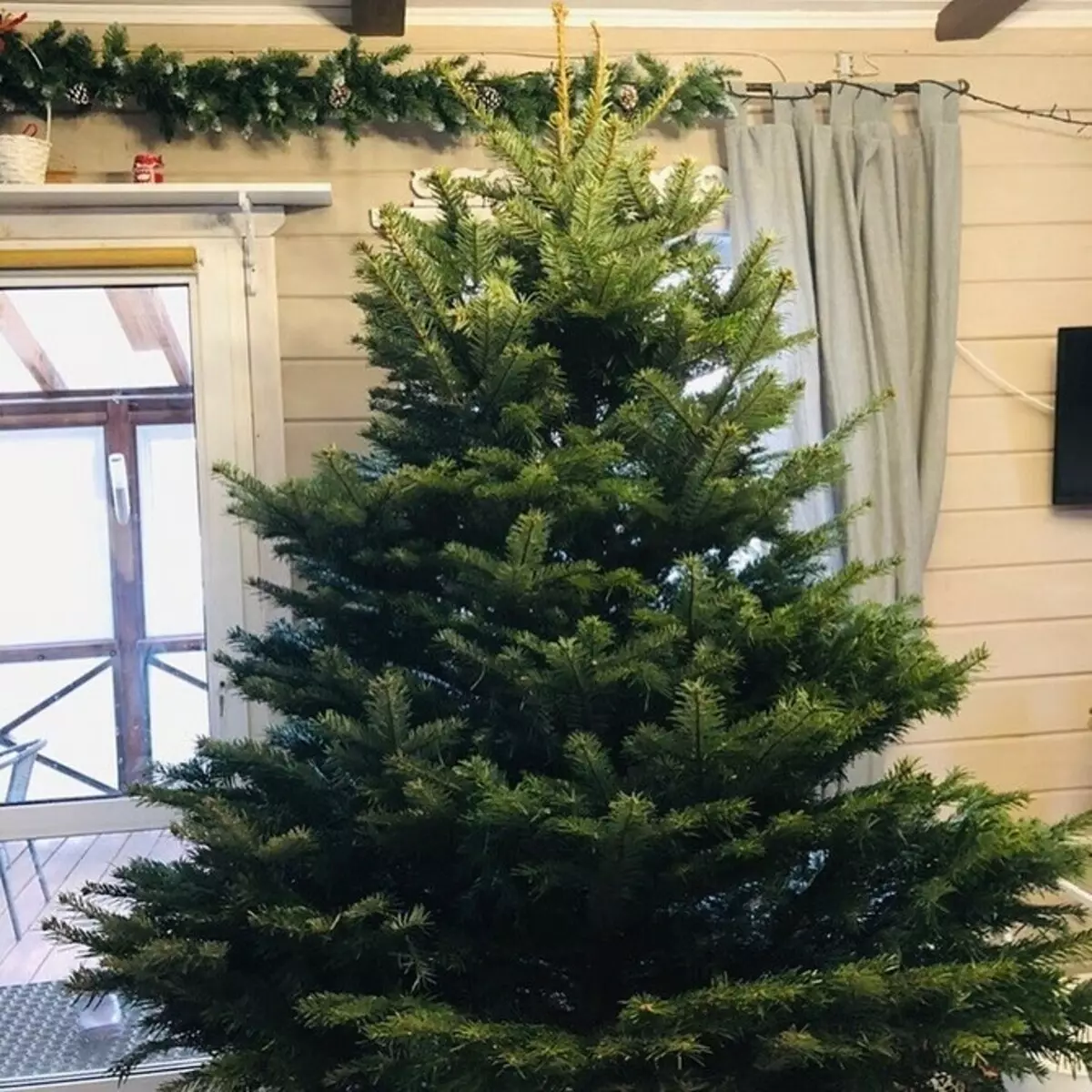 Πώς να επιλέξετε το σωστό χριστουγεννιάτικο δέντρο: εντολή σε 3 βήματα 5525_14