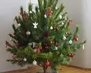Πώς να επιλέξετε το σωστό χριστουγεννιάτικο δέντρο: εντολή σε 3 βήματα 5525_15