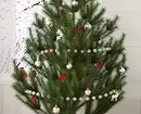 Πώς να επιλέξετε το σωστό χριστουγεννιάτικο δέντρο: εντολή σε 3 βήματα 5525_16