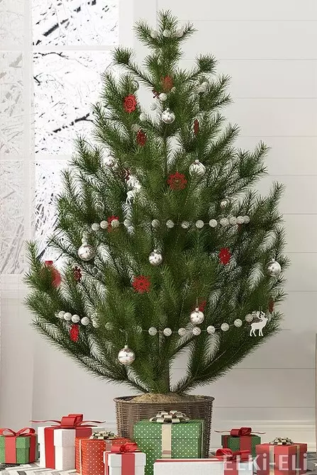 Cara Memilih Pohon Natal yang Tepat: Instruksi dalam 3 Langkah 5525_18