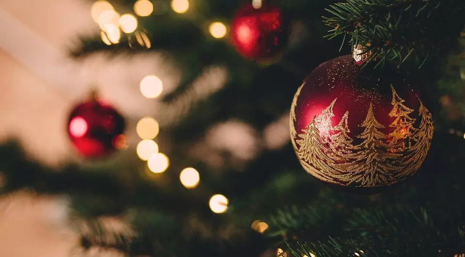 Como escolher a árvore de Natal direita: instrução em 3 etapas