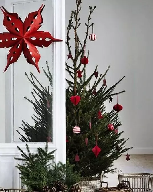 كيفية اختيار شجرة عيد الميلاد اليمنى: التعليمات في 3 خطوات 5525_28