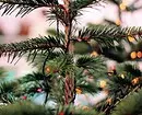 Doğru Noel ağacı nasıl seçilir: 3 adımda talimat 5525_3