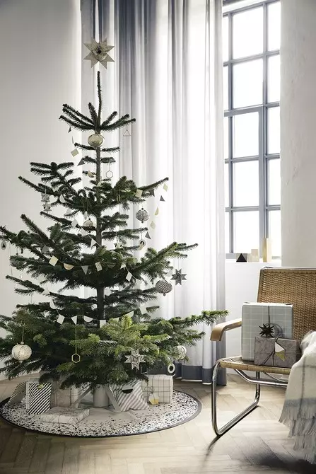 Si të zgjidhni pemën e duhur të Krishtlindjeve: Udhëzim në 3 hapa 5525_6
