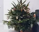 Πώς να επιλέξετε το σωστό χριστουγεννιάτικο δέντρο: εντολή σε 3 βήματα 5525_7