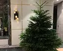 Πώς να επιλέξετε το σωστό χριστουγεννιάτικο δέντρο: εντολή σε 3 βήματα 5525_8