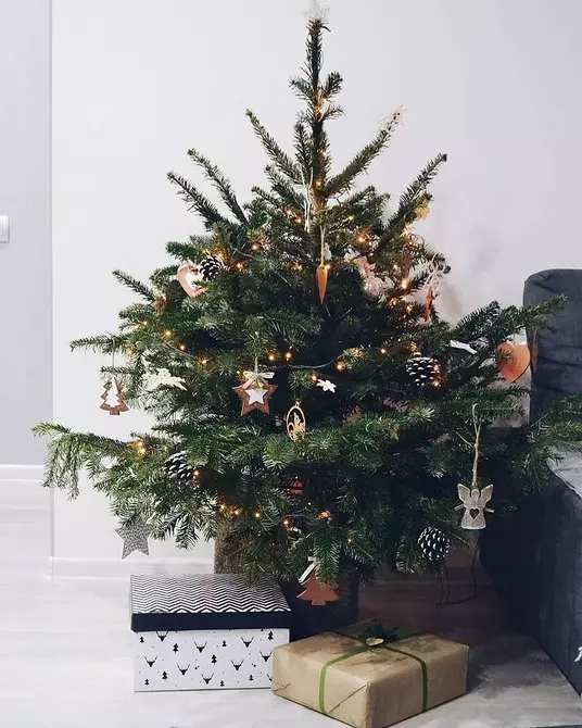 Como elixir a árbore de Nadal adecuada: instrución en 3 pasos 5525_9