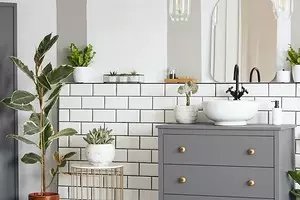 6 tumbuhan yang anda boleh ... di bilik mandi (dan tiada apa yang akan!) 5569_1