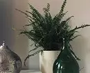 6 рослин, які ви можете поставити навіть ... у ванній кімнаті (і їм нічого не буде!) 5569_15