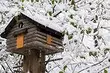 11 gemütliche Dekorideen für Ihren Garten im Winter