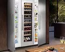 Koju marku hladnjaka za odabir kuće: 6 Pregled marki 5674_4