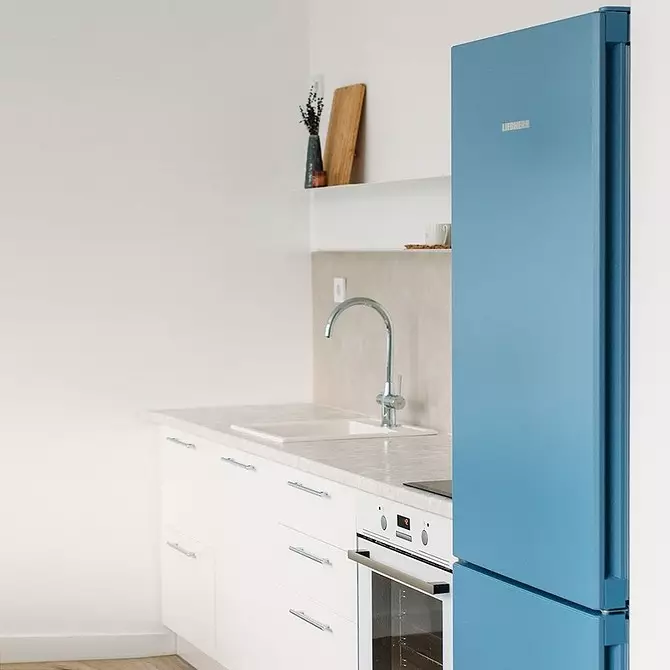 Који бренд фрижидера да одаберете код куће: 6 брендова Преглед 5674_7