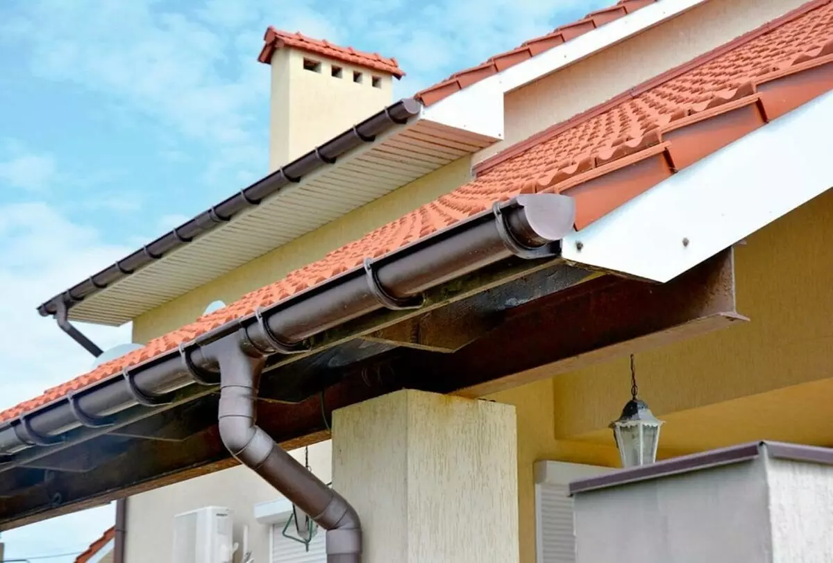 屋根の安全装置について：形、サイズ、トリム 5719_34