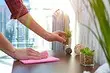 5 regles errònies de neteja a la casa que se li va ensenyar des de la infància