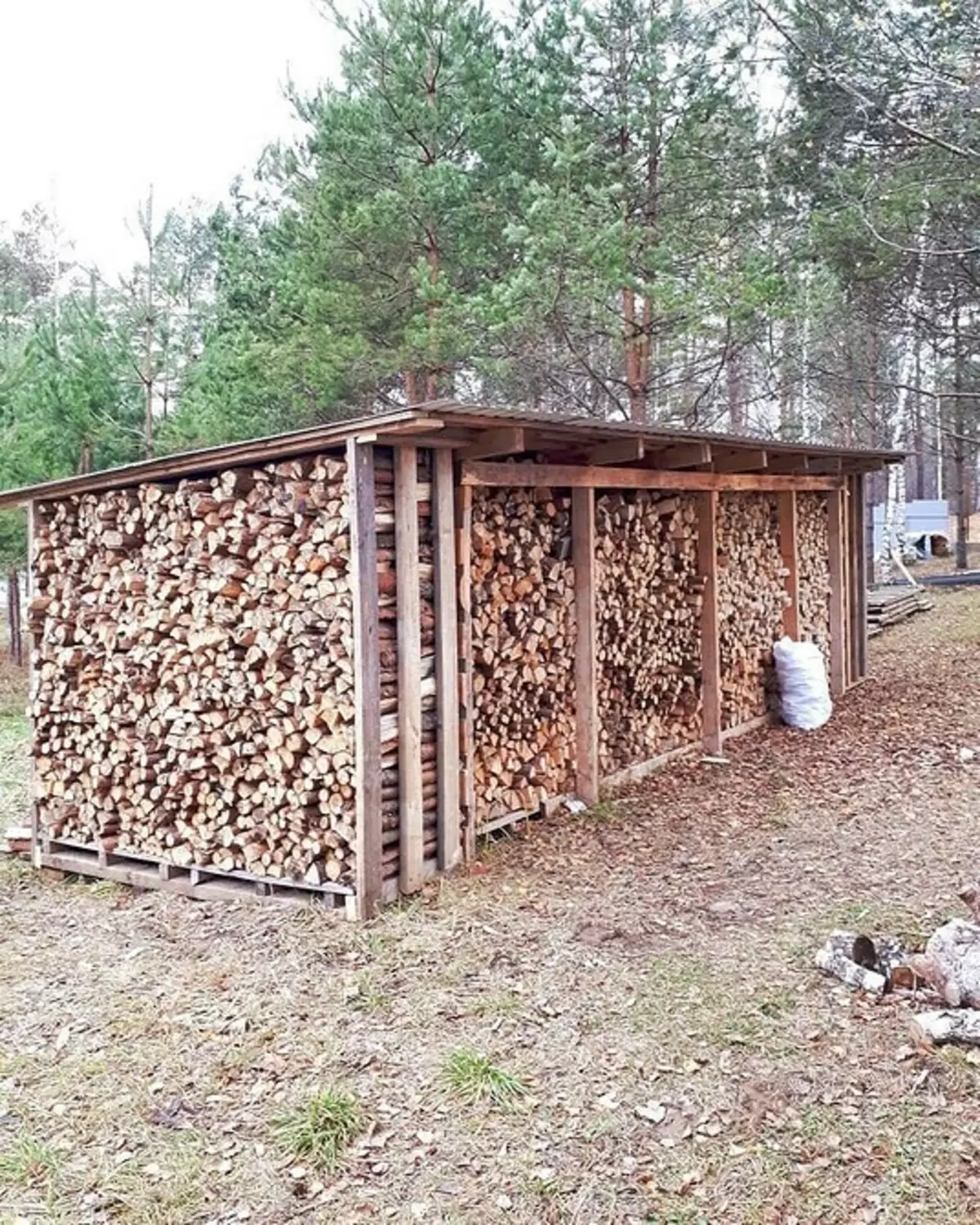 Comment construire un bois de bois pour donner avec vos propres mains: instruction étape par étape 5859_11
