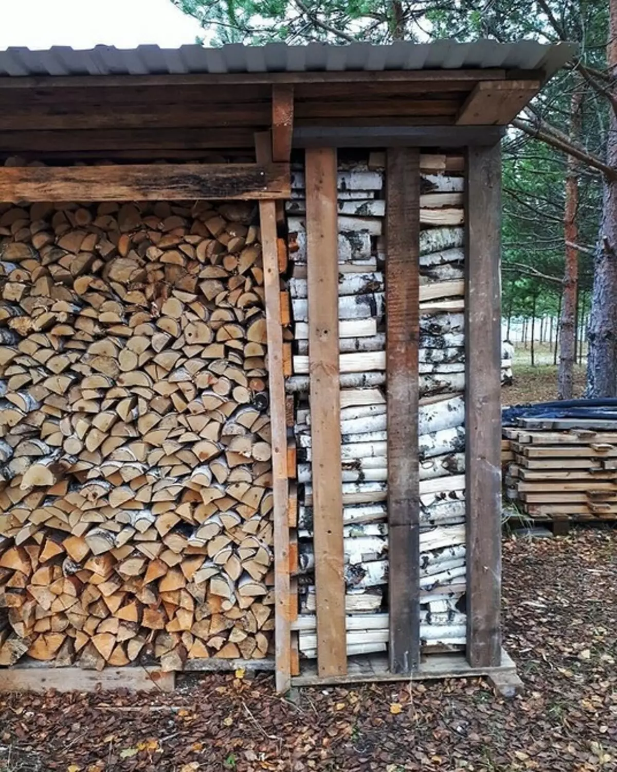 Como construír unha madeira de madeira para dar coas súas propias mans: instrución paso a paso 5859_12