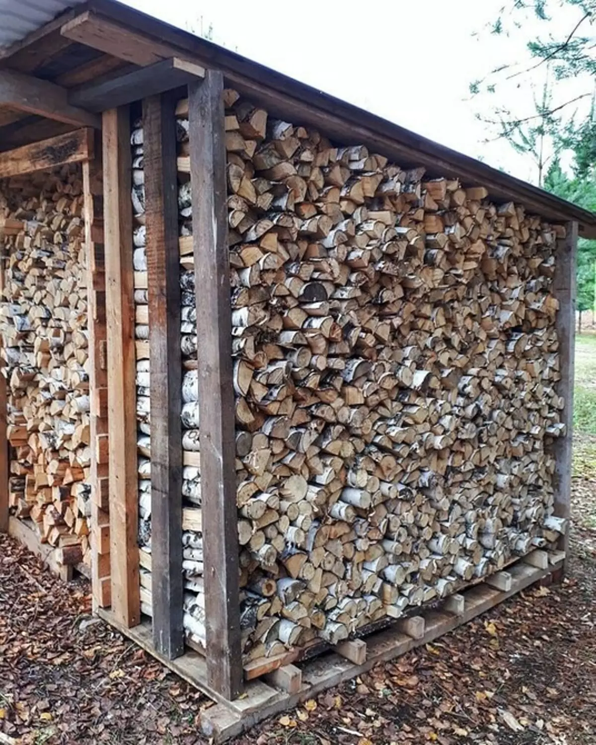 Cómo construir una madera de madera para dar con sus propias manos: instrucción paso a paso 5859_15