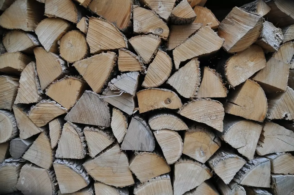 Cómo construir una madera de madera para dar con sus propias manos: instrucción paso a paso 5859_19